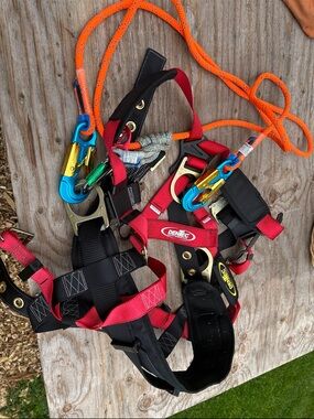 Dentec Red & Black Climbing/Rescue Harness with Carabiners